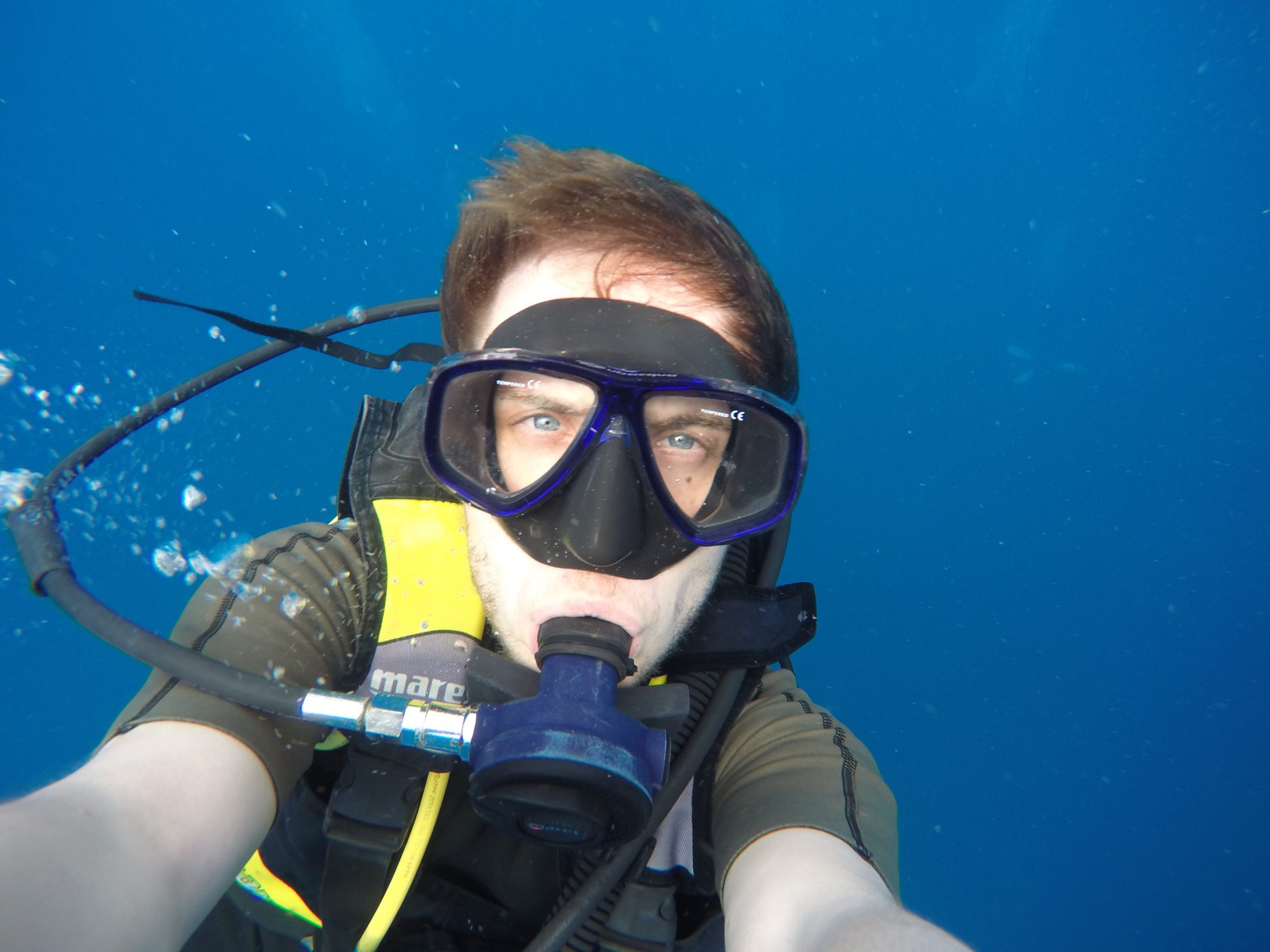 Nestor scuba diving