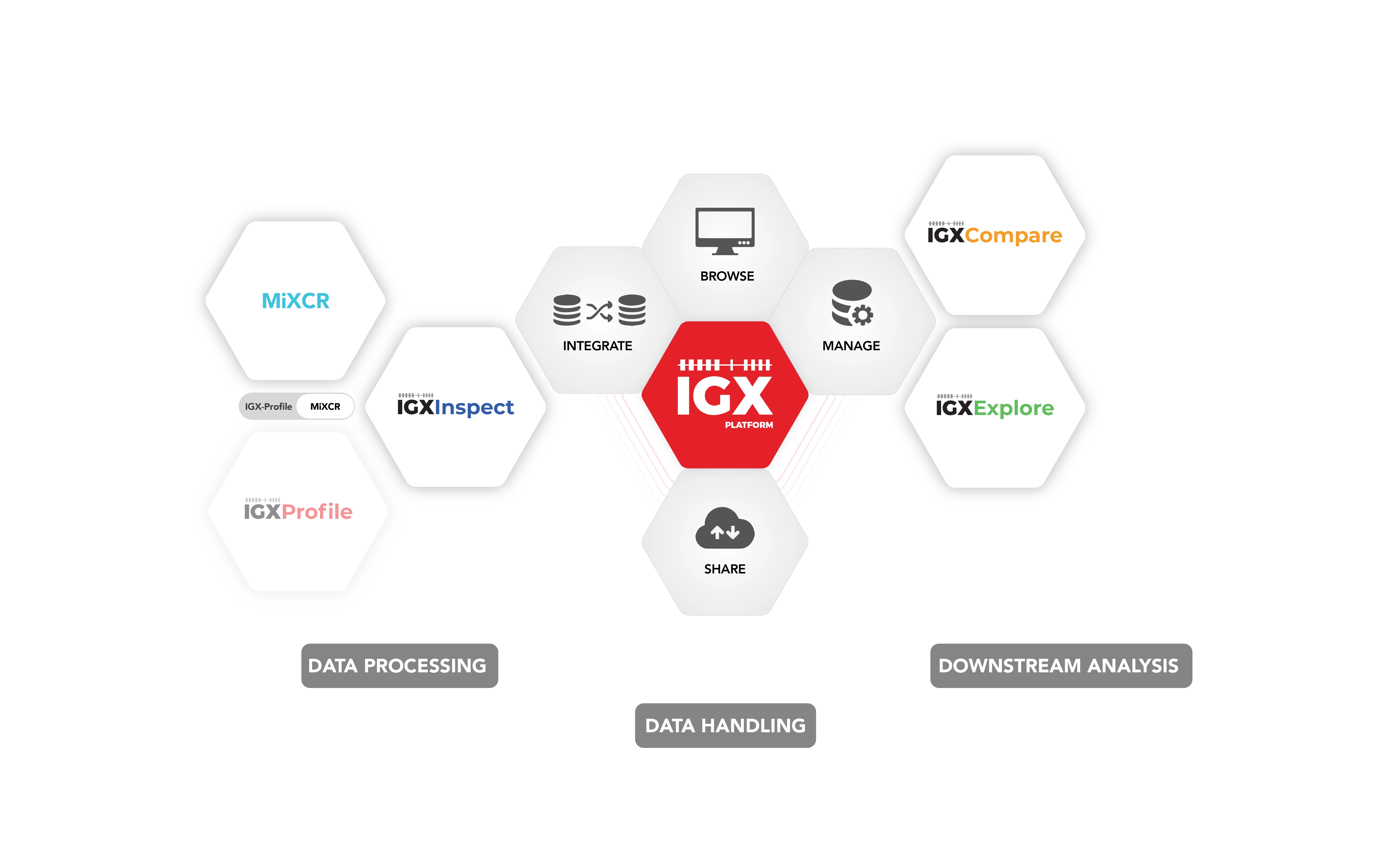 IGX Platform workflow overview with MiXCR.