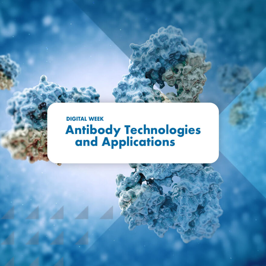 Raising the bar for NGS-powered antibody discovery