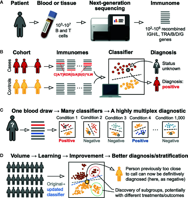 Immunome-based diagnostic process infographic: (A) Blood drawn and genes sequenced. (B) Patterns identified to develop condition-specific test. (C) Multiplexed assay detects multiple conditions. (D) Classifier refines over time for improved diagnosis.