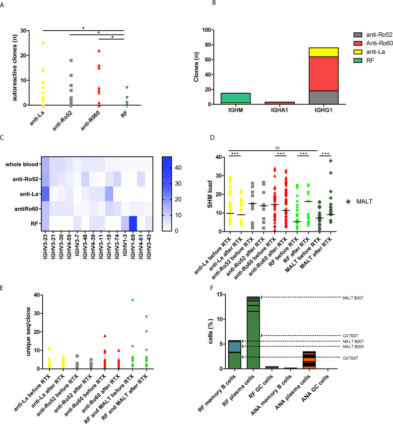 Proteogenomic analysis of the autoreactive B cell repertoire in blood and tissues of patients with Sjögren's syndrome.