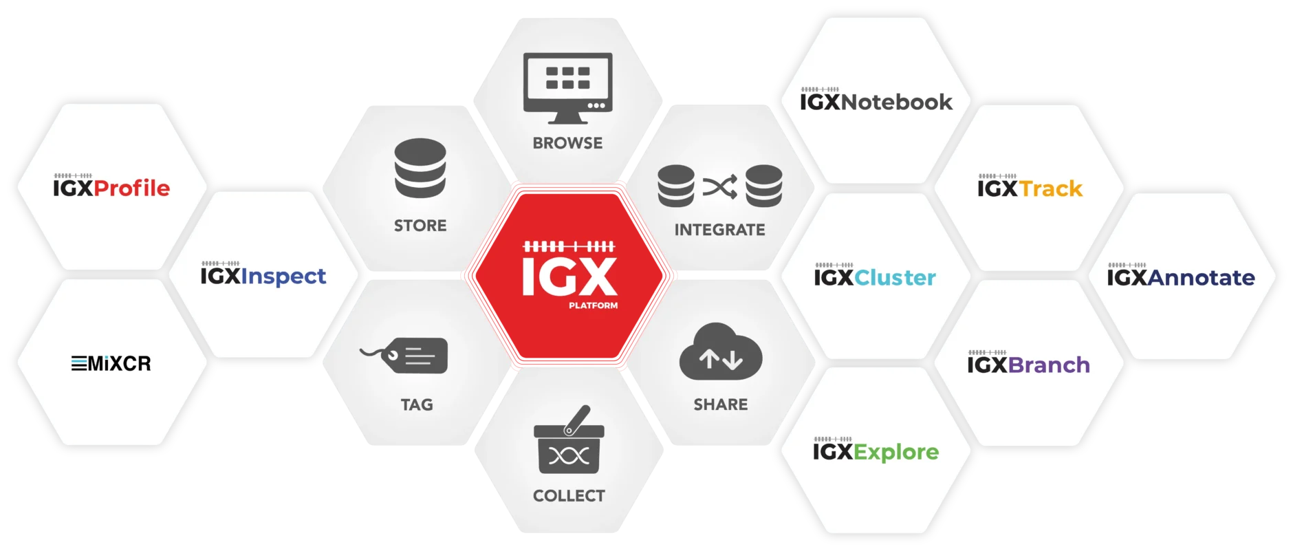IGX Platform functionality at a glance.